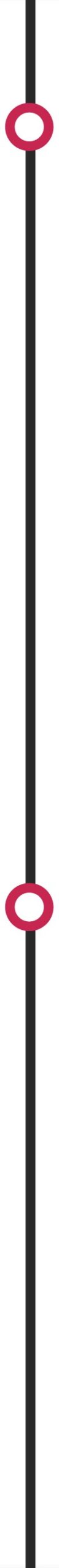 timeline timeline